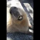 贴纸