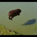 贴纸