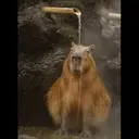 贴纸