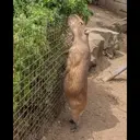贴纸
