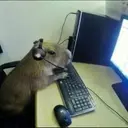 贴纸