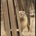 贴纸