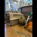 贴纸
