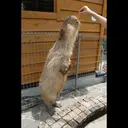 贴纸