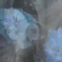贴纸