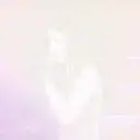 贴纸