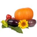 Naljepnica