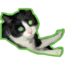 Límmiði