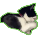 Límmiði