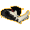 Límmiði