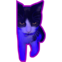 Límmiði