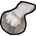 Límmiði