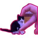 Límmiði