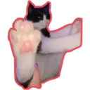 Límmiði
