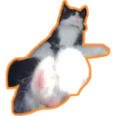 Límmiði