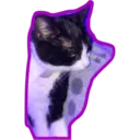 Límmiði