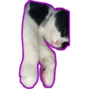 Límmiði