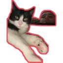Límmiði