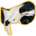 Límmiði