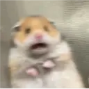 Nhãn dán