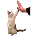 스티커