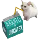Límmiði