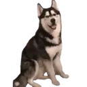 ஸ்டிக்கர்