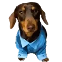 ஸ்டிக்கர்