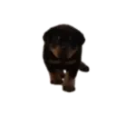 ஸ்டிக்கர்