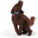 ஸ்டிக்கர்