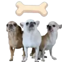 ஸ்டிக்கர்