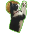 Límmiði