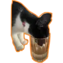 Límmiði