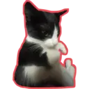 Límmiði