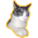 Límmiði