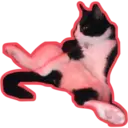 Límmiði