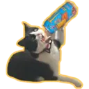 Límmiði