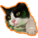 Límmiði
