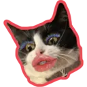 Límmiði