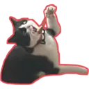Límmiði