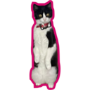 Límmiði