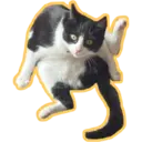 Límmiði