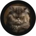 สติกเกอร์