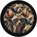 สติกเกอร์