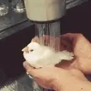 Çıkartma