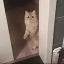 Çıkartma