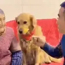 Çıkartma