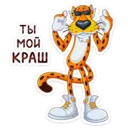 ស្ទីកเกอร์