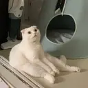 Çıkartma