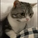Çıkartma